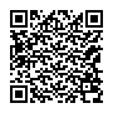 Codice QR per il numero di telefono +12169038765