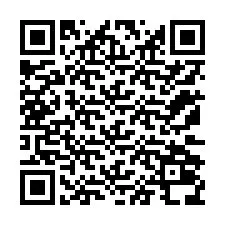 QR Code pour le numéro de téléphone +12172038311