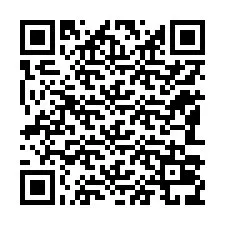 Codice QR per il numero di telefono +12183039202