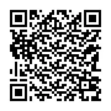 電話番号のQRコード +12183039210