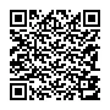 QR Code for Phone number +12183813132