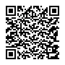 QR-Code für Telefonnummer +12183813132