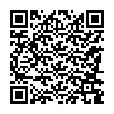 QR-Code für Telefonnummer +12186389392