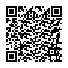 QR-Code für Telefonnummer +12186565950