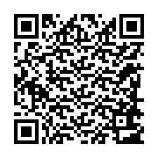 QR kód a telefonszámhoz +12288603991