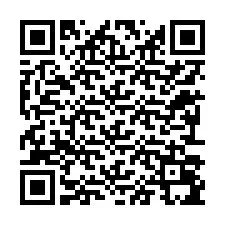 QR Code for Phone number +12293095288