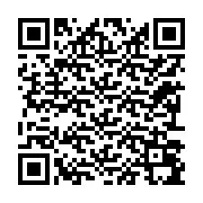 QR kód a telefonszámhoz +12293095289