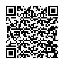 Codice QR per il numero di telefono +12293095728