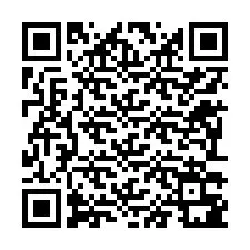 QR kód a telefonszámhoz +12293381626