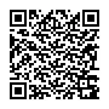 QR kód a telefonszámhoz +12293381952