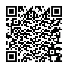 QR-Code für Telefonnummer +12293384598