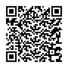 Codice QR per il numero di telefono +12293738011