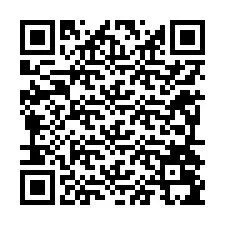 Codice QR per il numero di telefono +12294095732