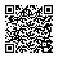 Telefon numarası için QR Kodu +12295050812