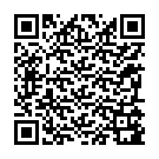电话号码二维码 +12295181040