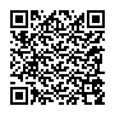 QR kód a telefonszámhoz +12295558868