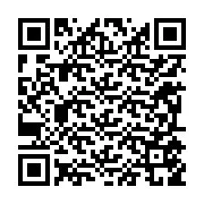 QR kód a telefonszámhoz +12295559172