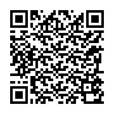 QR kód a telefonszámhoz +12295570244