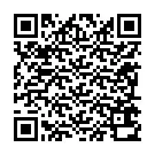 QR kód a telefonszámhoz +12295630996