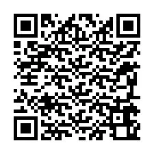 QR kód a telefonszámhoz +12295660800