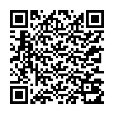 QR-code voor telefoonnummer +12313011188