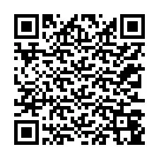 QR-code voor telefoonnummer +12313045099