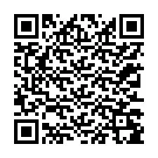 QR-koodi puhelinnumerolle +12313285199