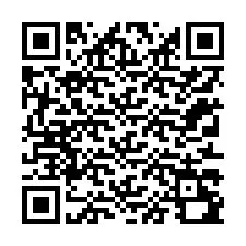 QR kód a telefonszámhoz +12313290485