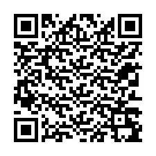 QR kód a telefonszámhoz +12313295953