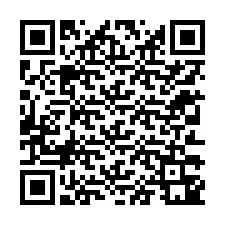 Codice QR per il numero di telefono +12313341256