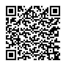 Codice QR per il numero di telefono +12313345246