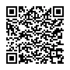 Codice QR per il numero di telefono +12313378886