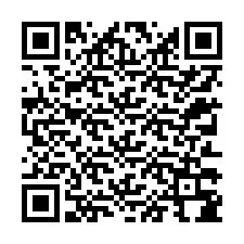 Codice QR per il numero di telefono +12313384258