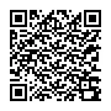 QR kód a telefonszámhoz +12313390920