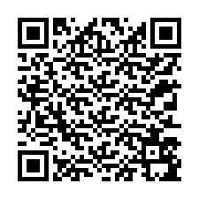 QR-code voor telefoonnummer +12313595590