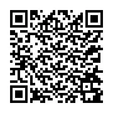 电话号码二维码 +12314381748