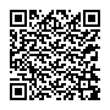 QR-code voor telefoonnummer +12314385050