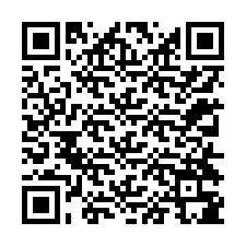 Código QR para número de telefone +12314385669