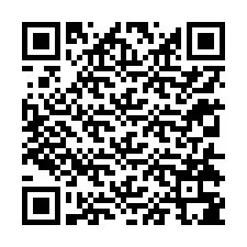 Codice QR per il numero di telefono +12314385952