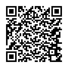 QR Code pour le numéro de téléphone +12346650397