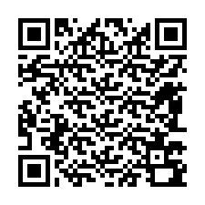 QR-code voor telefoonnummer +12483790591