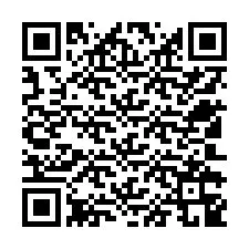 QR-code voor telefoonnummer +12502349944