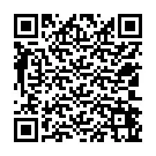 QR kód a telefonszámhoz +12502465404