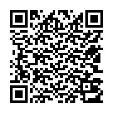 QR-code voor telefoonnummer +12503013126