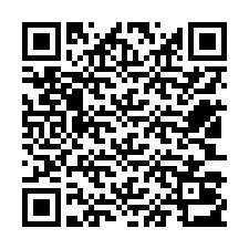 Codice QR per il numero di telefono +12503013127