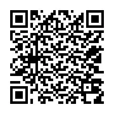 QR Code สำหรับหมายเลขโทรศัพท์ +12503018979