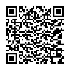 Código QR para número de telefone +12503018981