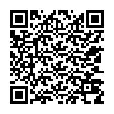 QR-code voor telefoonnummer +12503018984