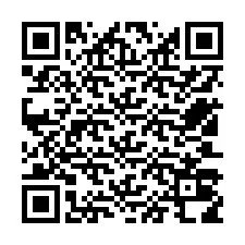 Kode QR untuk nomor Telepon +12503018987