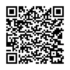 QR Code pour le numéro de téléphone +12503221372